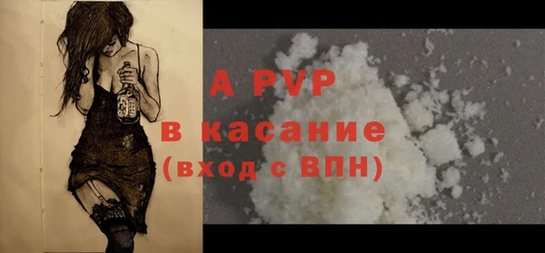 стафф Бородино