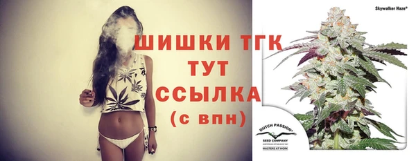 стафф Бородино