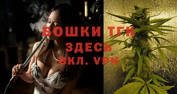 стафф Бородино