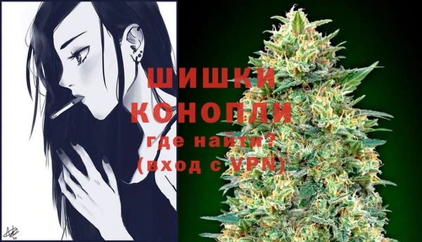 ГАЛЛЮЦИНОГЕННЫЕ ГРИБЫ Бронницы
