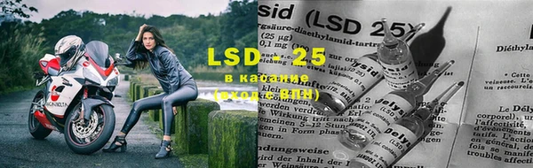 ГАЛЛЮЦИНОГЕННЫЕ ГРИБЫ Бронницы