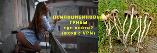 стафф Бородино
