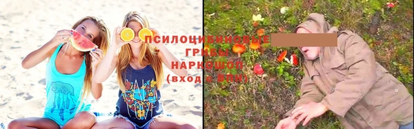 ГАЛЛЮЦИНОГЕННЫЕ ГРИБЫ Бронницы