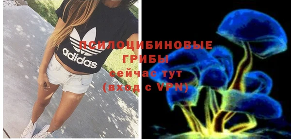 стафф Бородино